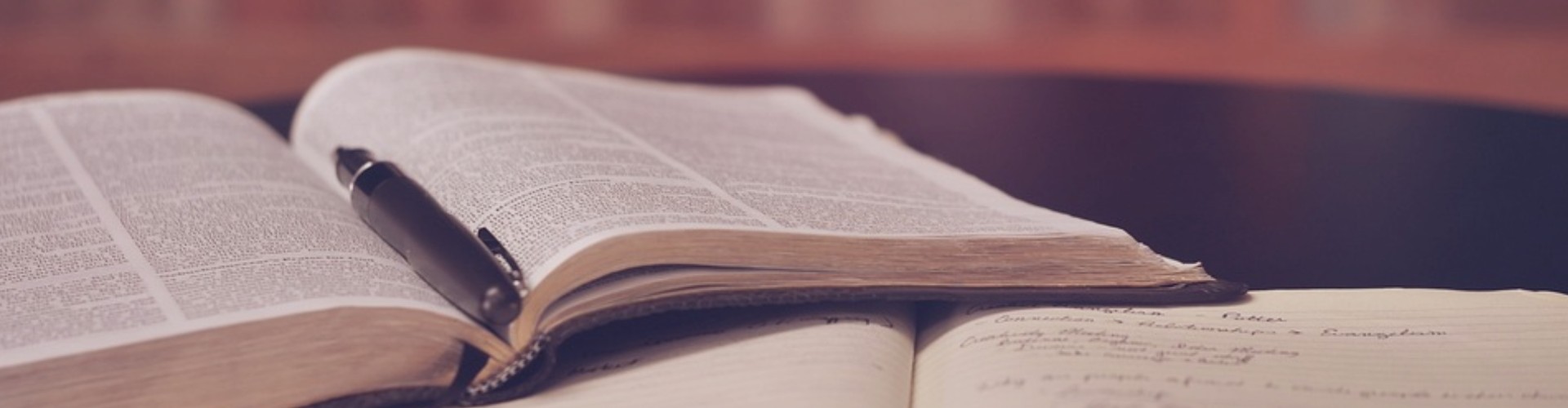 古籍整理及地方文化