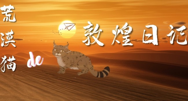 《荒漠猫的敦煌日记》：我是敦煌&ldquo;千年观察员&rdquo;，我带着日记本来啦